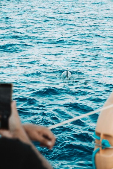 A person taking a photo of a whale in the ocean. 2