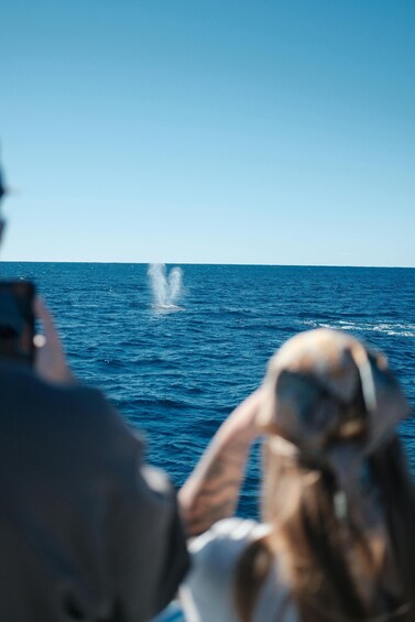 A person taking a photo of a whale breaching the ocean. 4