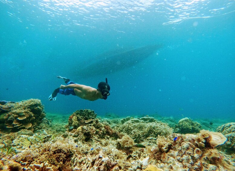 A person scuba diving near a coral reef. 5