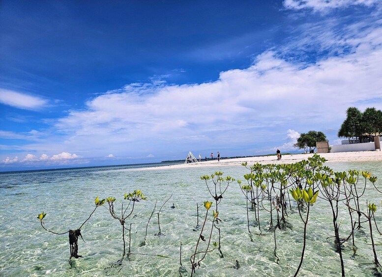 A beach with clear shallow waters, mangrove trees, and people in the distance. 2