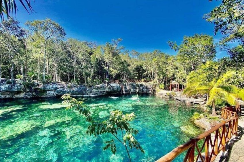 A clear blue pool surrounded by lush greenery and a wooden bridge. 2