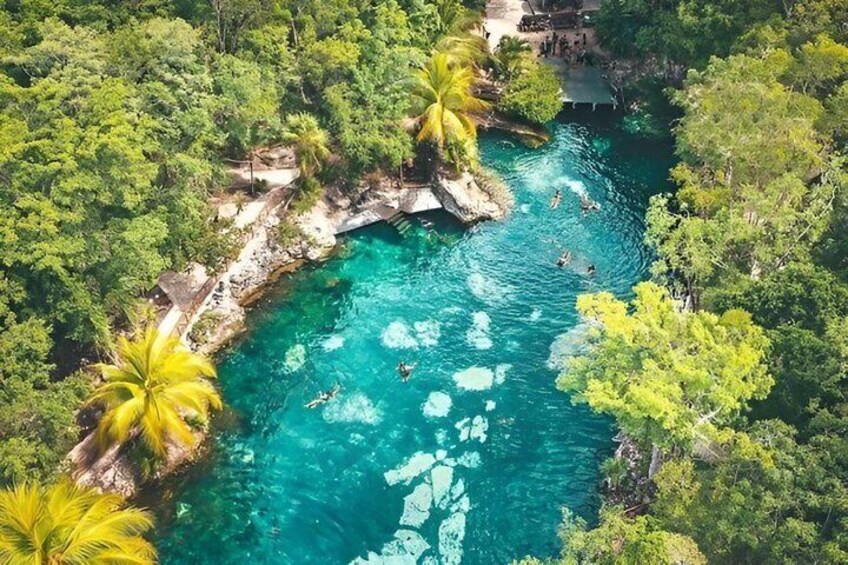 A turquoise river surrounded by dense green foliage and palm trees. 4