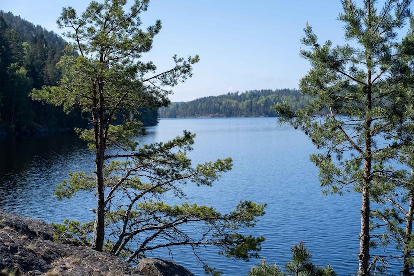 A calm lake surrounded by dense forests and rocky terrain. 5