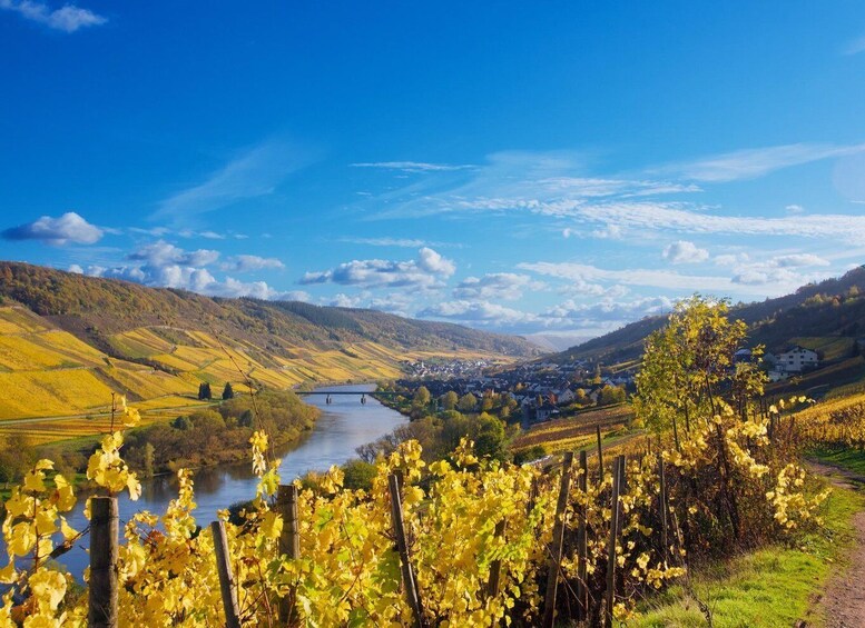 A river valley with vineyards, a bridge, and a town in the background. 2