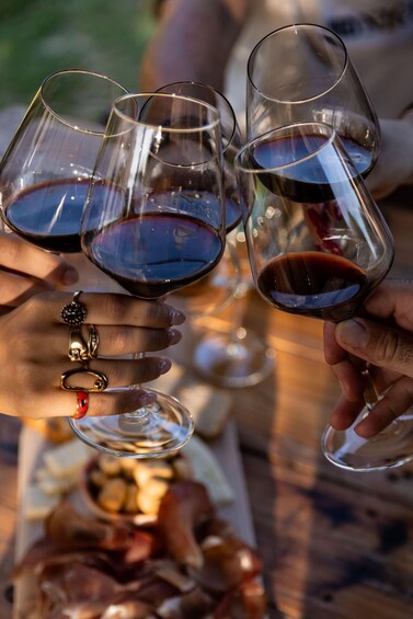 Picture 3 for Activity Euganean Hills Guided Wine Tour with Tasting From Padua 2