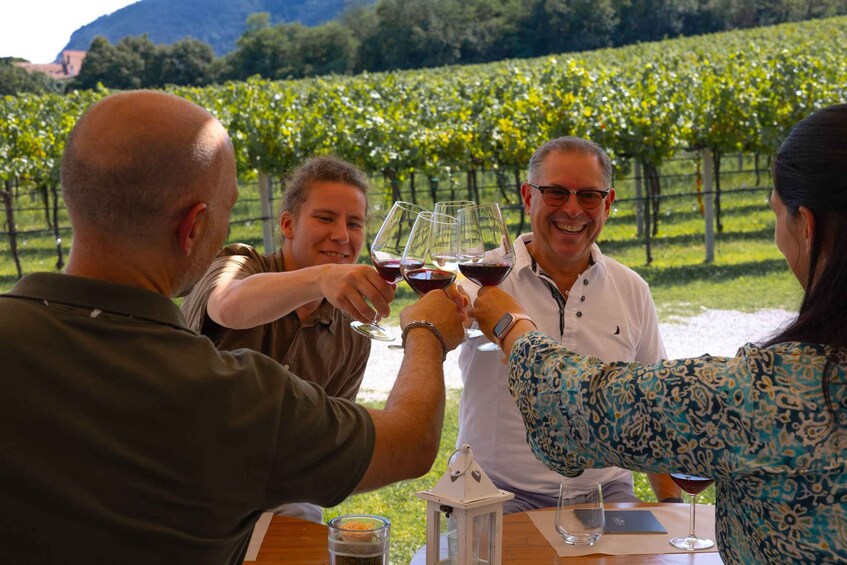 Euganean Hills Guided Wine Tour with Tasting From Padua 1