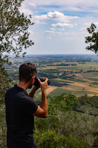 Picture 4 for Activity Euganean Hills Guided Wine Tour with Tasting From Padua 3