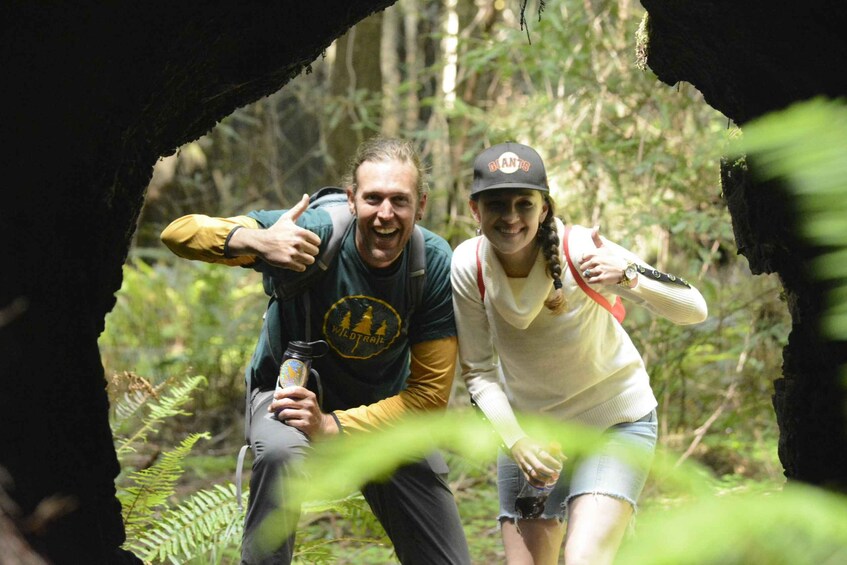 Two people hiking in a forest with a large tree in the foreground. 3