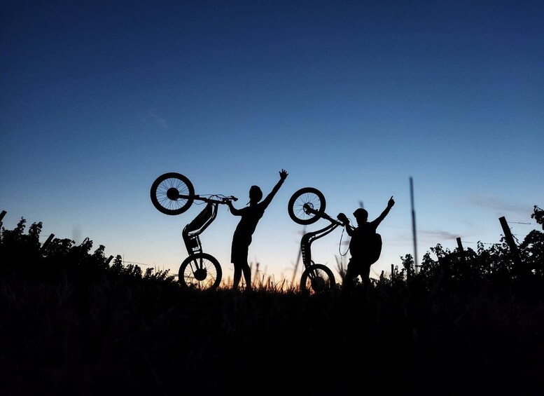 Silhouettes of people performing BMX tricks against a twilight sky. 5