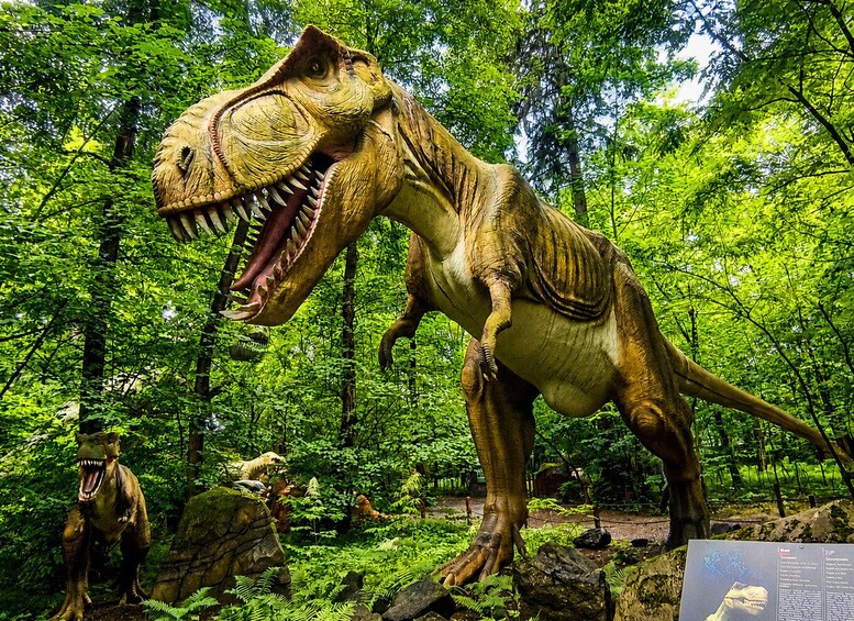 A life-sized Tyrannosaurus rex model in a forested exhibit. 5