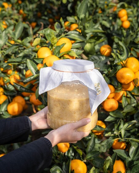 A person holding a jar of preserved food with a cloth cover, surrounded by a field of orange trees. 1