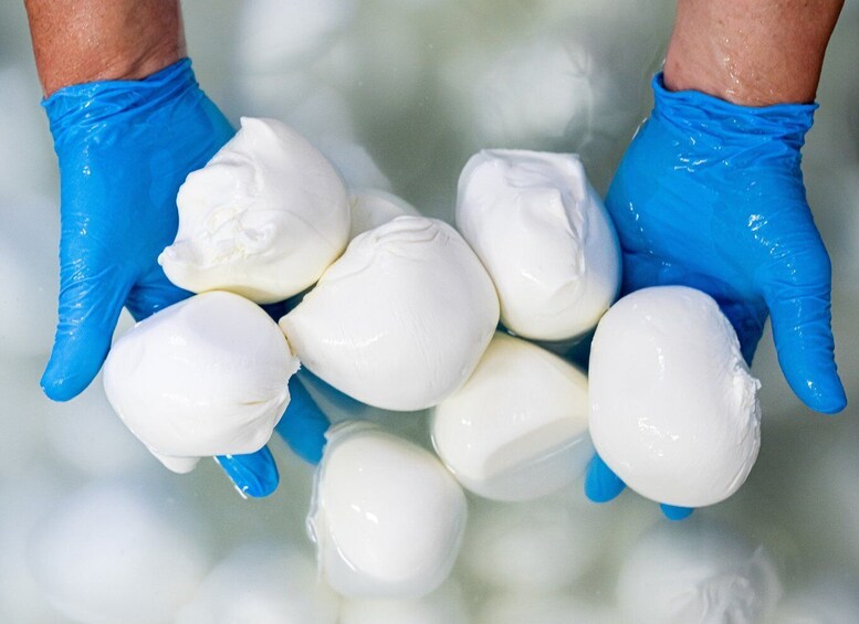 A person wearing blue gloves holding several white objects. 5