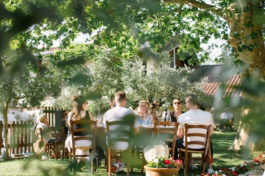 A group of people seated at tables outdoors, surrounded by trees and a wooden fence. 1