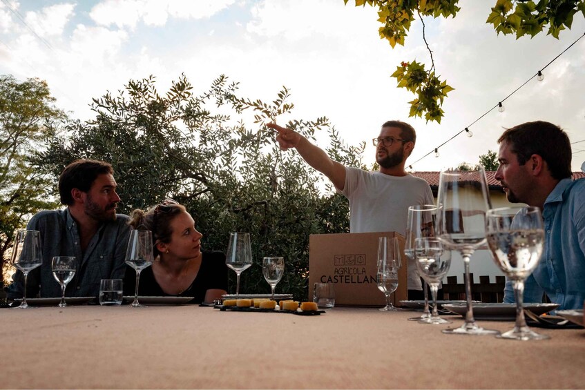 A group of people at an outdoor table with wine glasses, a box labeled 'AGRICOLA CASTELLANO,' and a string of lights in the background. 3