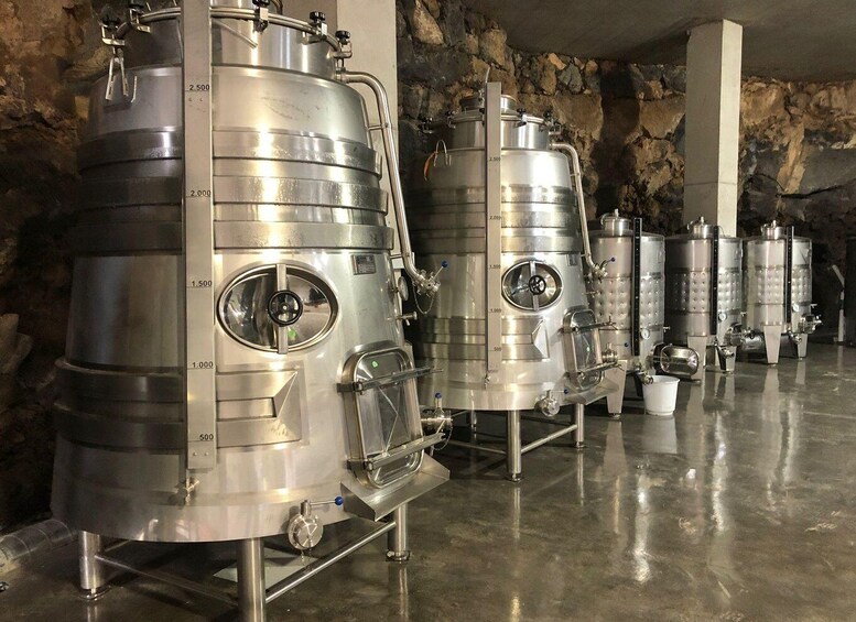 Stainless steel fermentation tanks in a brewery setting. 2