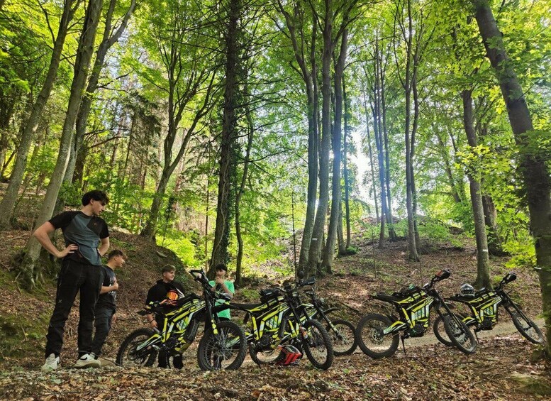 A forest with tall trees and a group of people standing near bicycles. 3