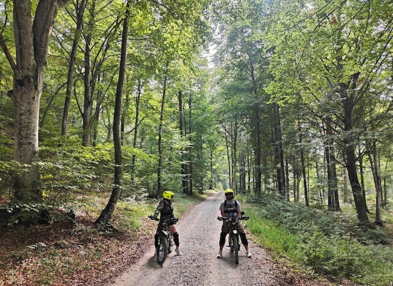 Two cyclists on a forest trail. 1