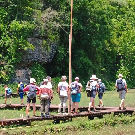 A group of people walking on a wooden bridge over a river, surrounded by greenery. 2