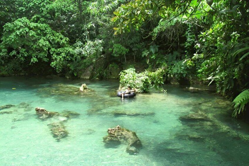 A clear river surrounded by dense green foliage. 4