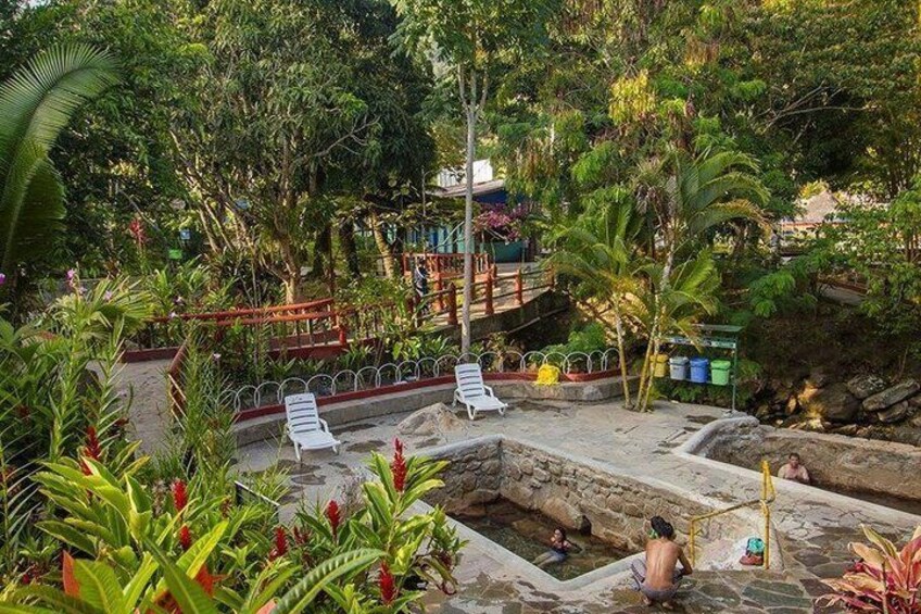 A natural pool surrounded by lush greenery, with white lounge chairs and a wooden bridge. 2