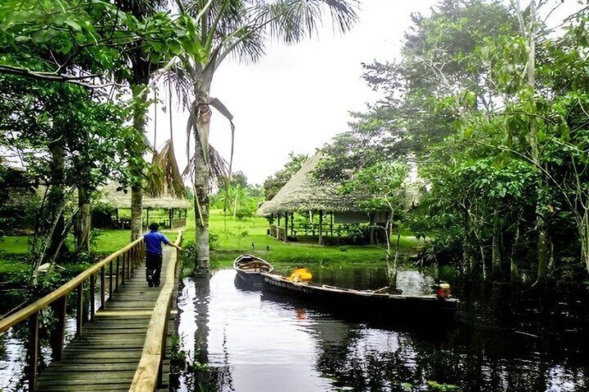 A wooden bridge over water, surrounded by lush greenery and a thatched-roof structure. 5