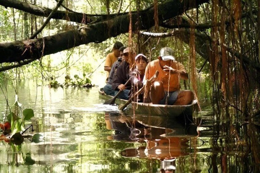 A group of people in a boat on a calm river surrounded by dense vegetation. 1