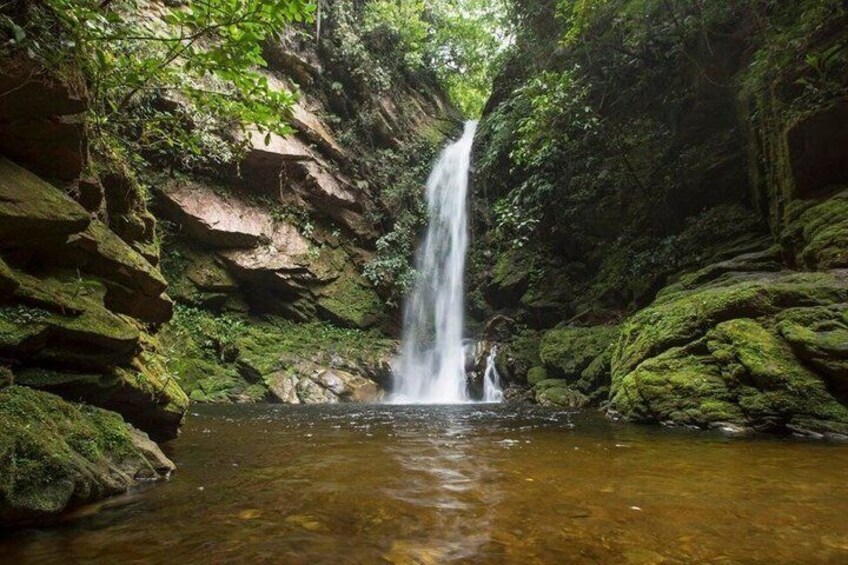 A waterfall in a forested area with moss-covered rocks and a clear stream at the base. 5
