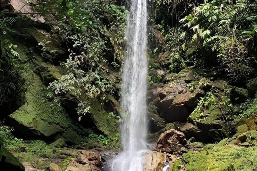 A waterfall surrounded by lush greenery and rocks. 2