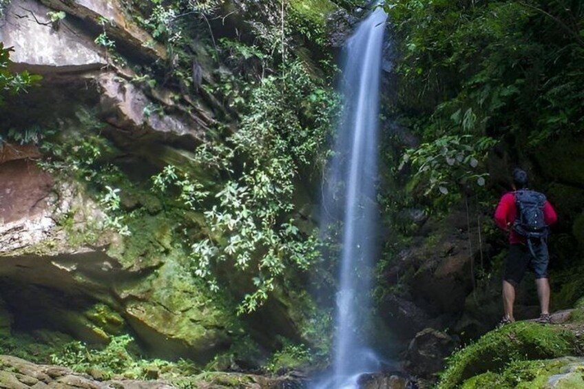 A waterfall in a forested area with a hiker standing nearby. 3