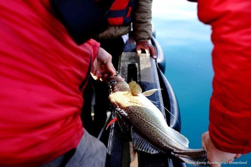 A person holding a fish. 2