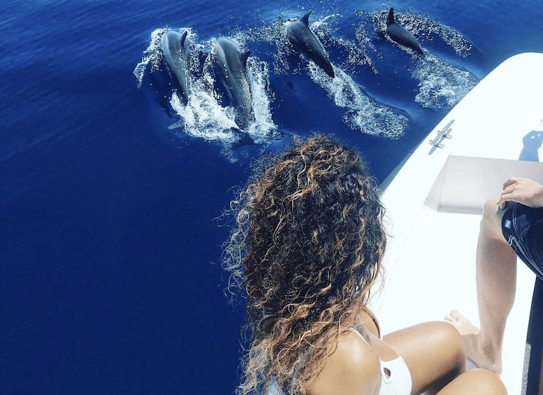 A person on a boat with dolphins swimming nearby. 1