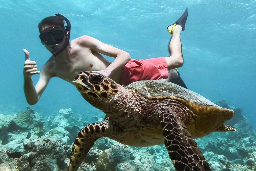 A person snorkeling with a sea turtle. 5