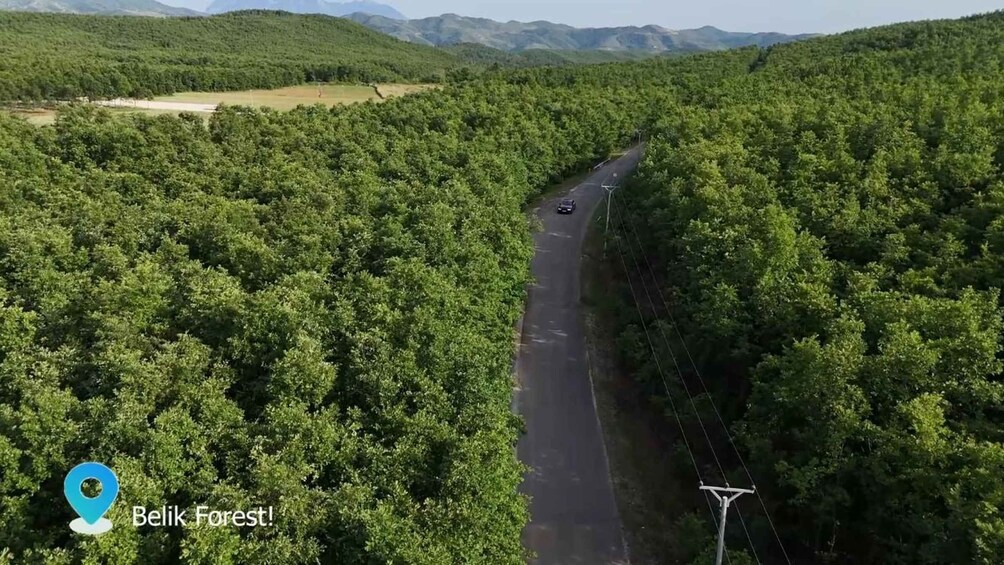 A road winding through a dense forest with a car traveling on it. 3