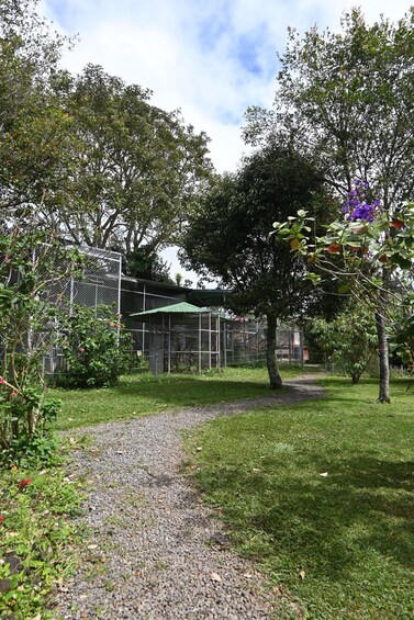A gravel path leading through a park with trees and a fenced area. 2
