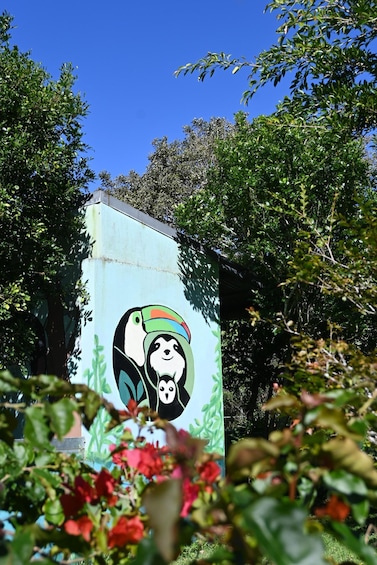 A building with a colorful mural of a toucan wearing a hat, surrounded by lush greenery and red flowers. 3