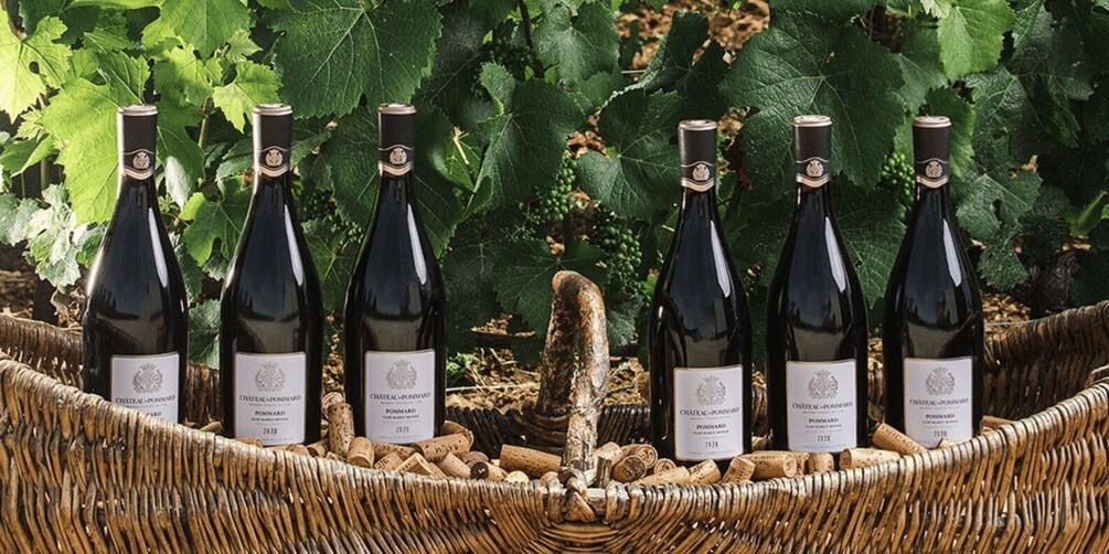 A basket of wine bottles with corks, surrounded by grapevines. 2