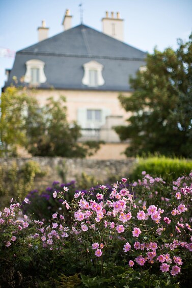 A house with a dark roof and white windows, surrounded by lush greenery and pink flowers. 4