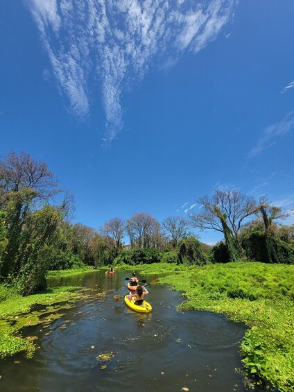 A river with kayaks, surrounded by greenery and trees under a clear sky. 1