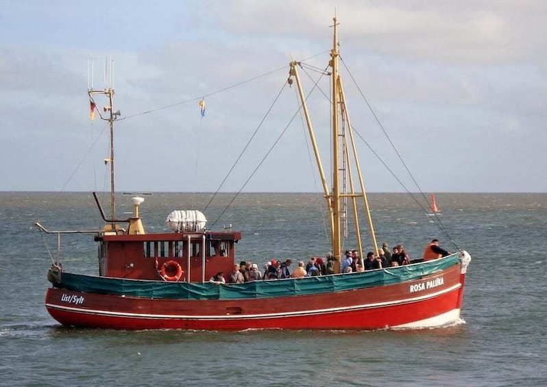 A red fishing boat named 'Rosa Palika' with a green tarp covering the deck, sailing on calm waters. 2