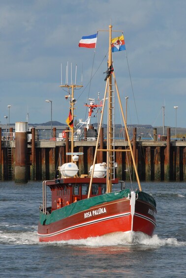 A red boat named ROSA PALUKA moving through a harbor with a dock and other boats in the background. 1