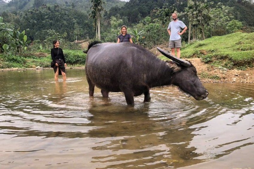 A large water buffalo in a shallow river with people standing nearby. 4
