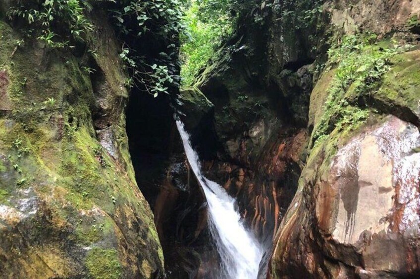 A waterfall cascading through a rocky gorge with moss-covered rocks and dense foliage. 5