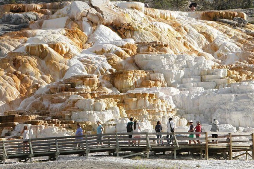 Terraced travertine formations with people observing. 1