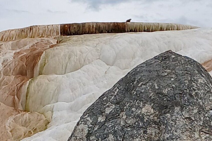 A rock formation with layered colors and a bird perched on top. 4