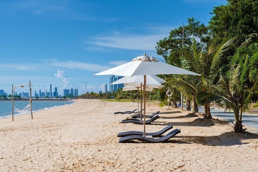 A beach with lounge chairs, umbrellas, palm trees, and a city skyline in the background. 3