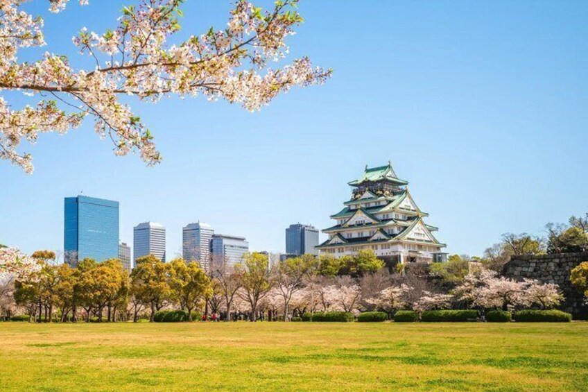 A traditional Japanese castle with a green roof, surrounded by cherry blossoms and modern buildings in the background. 4