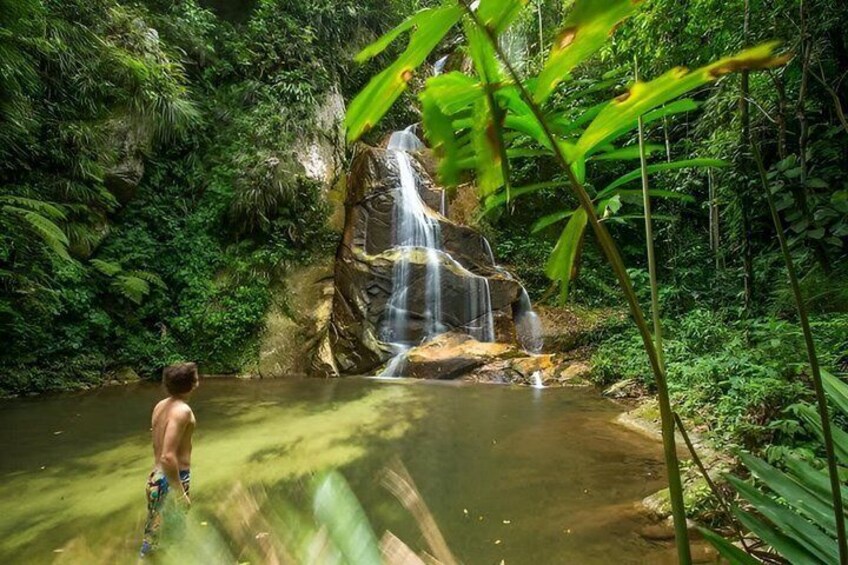 A waterfall in a lush forest with a person standing in a pool of water. 5