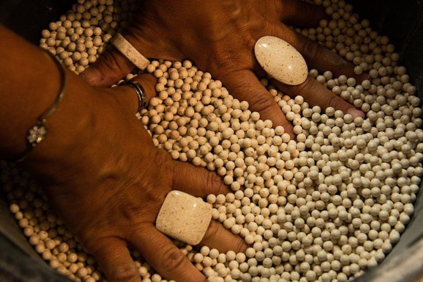 Hands sorting small, round, beige-colored objects in a container. 2