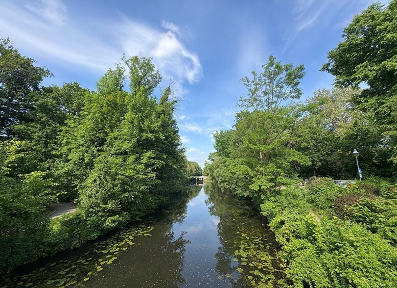 A calm river flanked by dense green foliage under a clear sky. 5