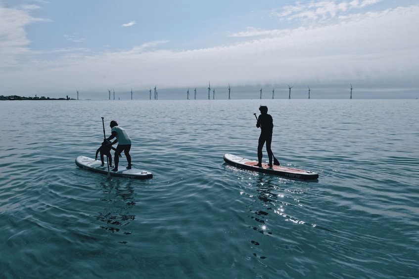 Two people paddleboarding on a calm sea with wind turbines in the background. 5